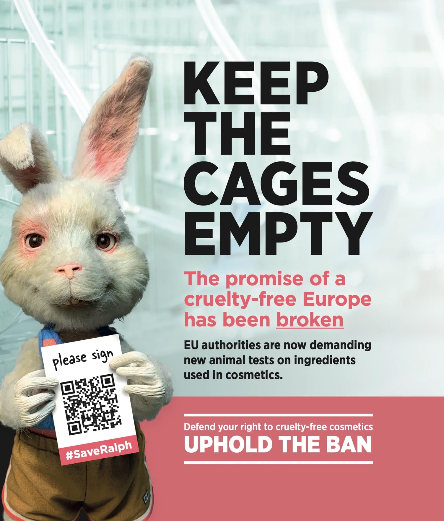 lush cosmetics purpose aziendale cruelty-free